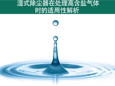 湿式除尘器在处理高含盐气体时的适用性如何？